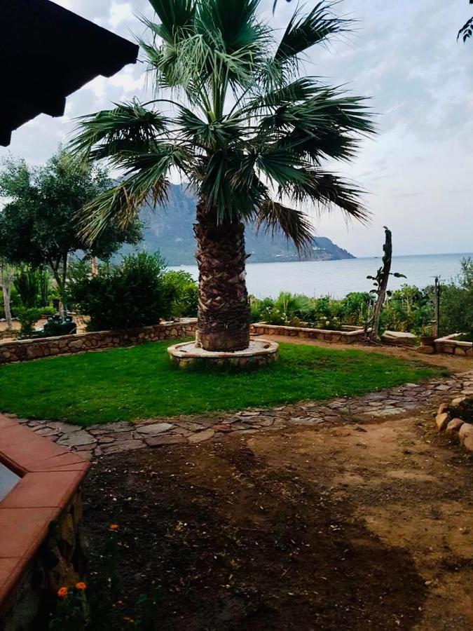 شقة Il Bacio Del Sole Tertenìa المظهر الخارجي الصورة